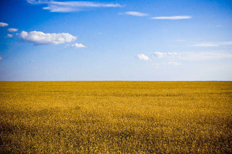 Ukraine